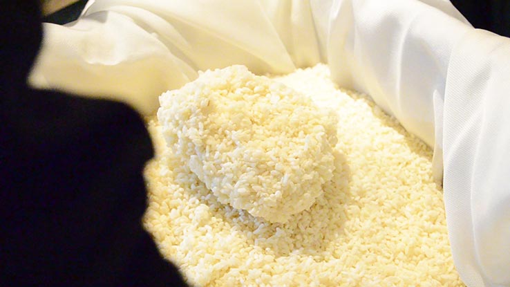 麹づくりワークショップ